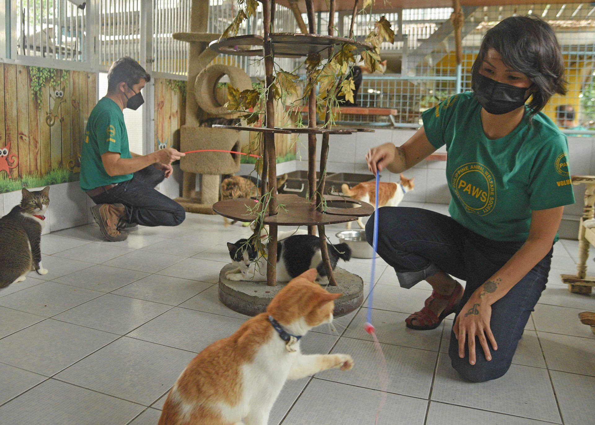 The Philippine Animal Welfare Society • PAWS