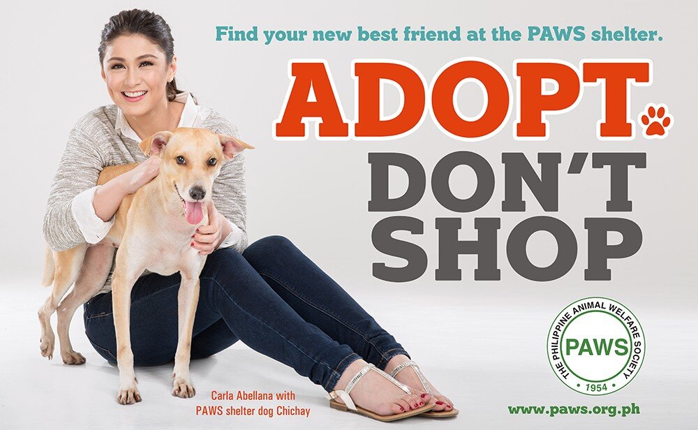 Our Campaigns • The Philippine Animal Welfare Society